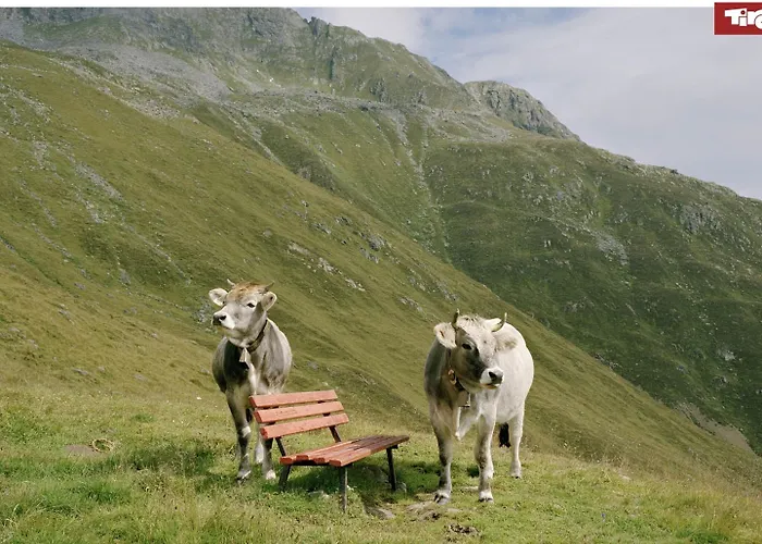 Appartamento Modern In With Terrace