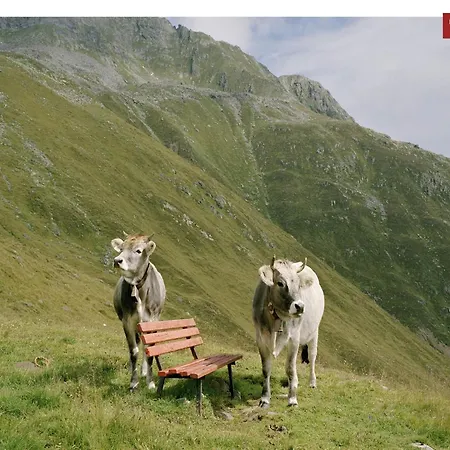 شقة Modern In With Terrace