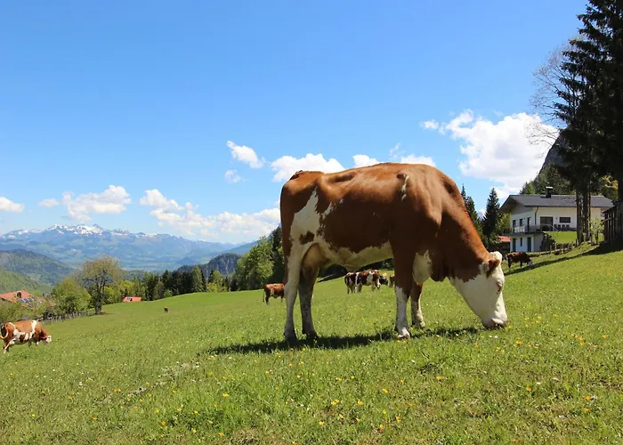 Modern In With Terrace شقة فيبربرن